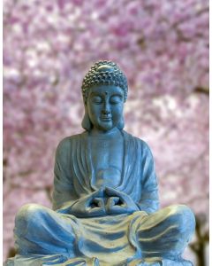 Notesbøger-blankbøger-smile buddha