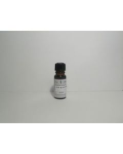 sommer-parfume-duftolie