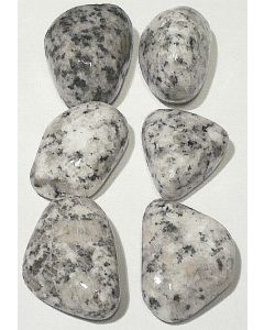 Granit Dalmatiner hvid