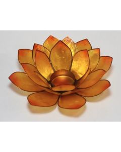 Lotus-lysestage-orange