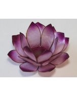 lotus-lysestage-purple